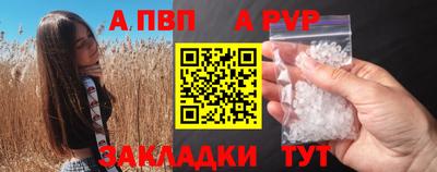 шишки Тверь