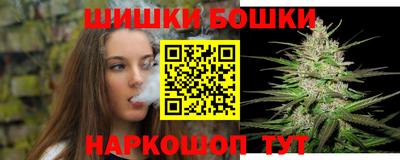 шишки Тверь