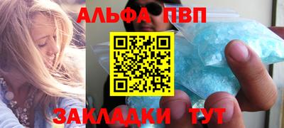 шишки Тверь