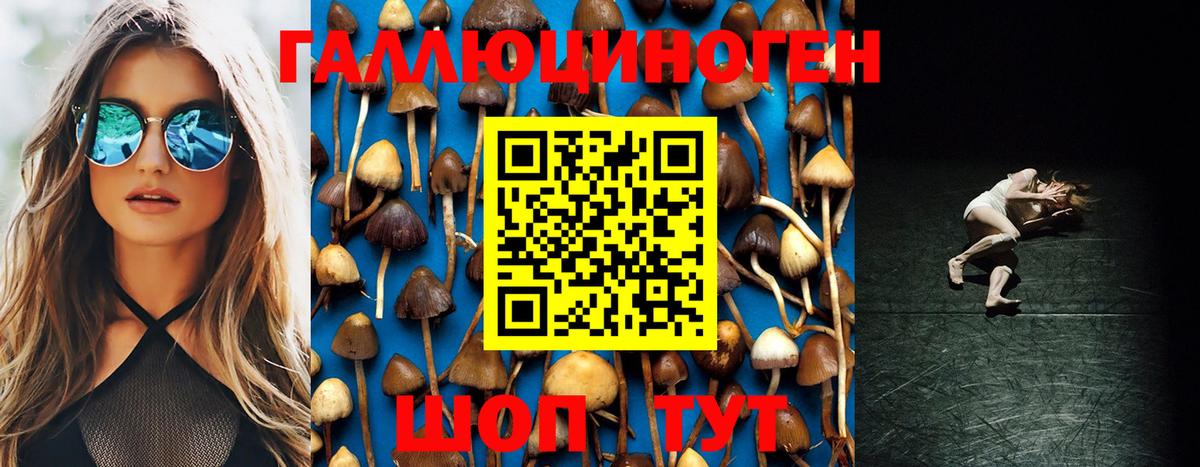 Псилоцибиновые грибы GOLDEN TEACHER Псков